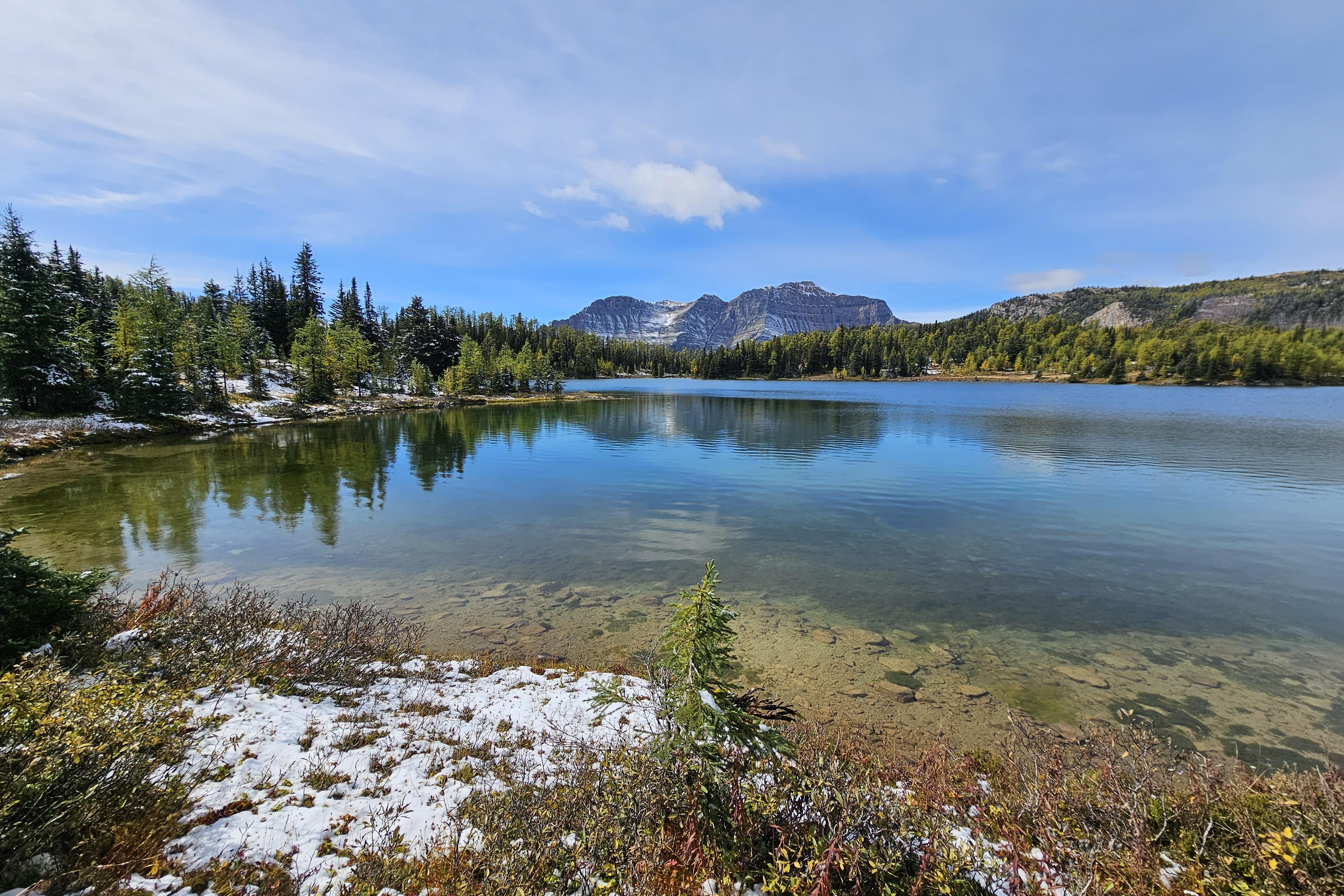 Sunshine Meadows